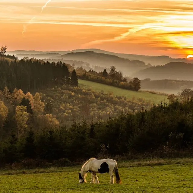 Kleurrijke herfstlandschappen rondom Düdinghausen, perfect voor wandelingen.